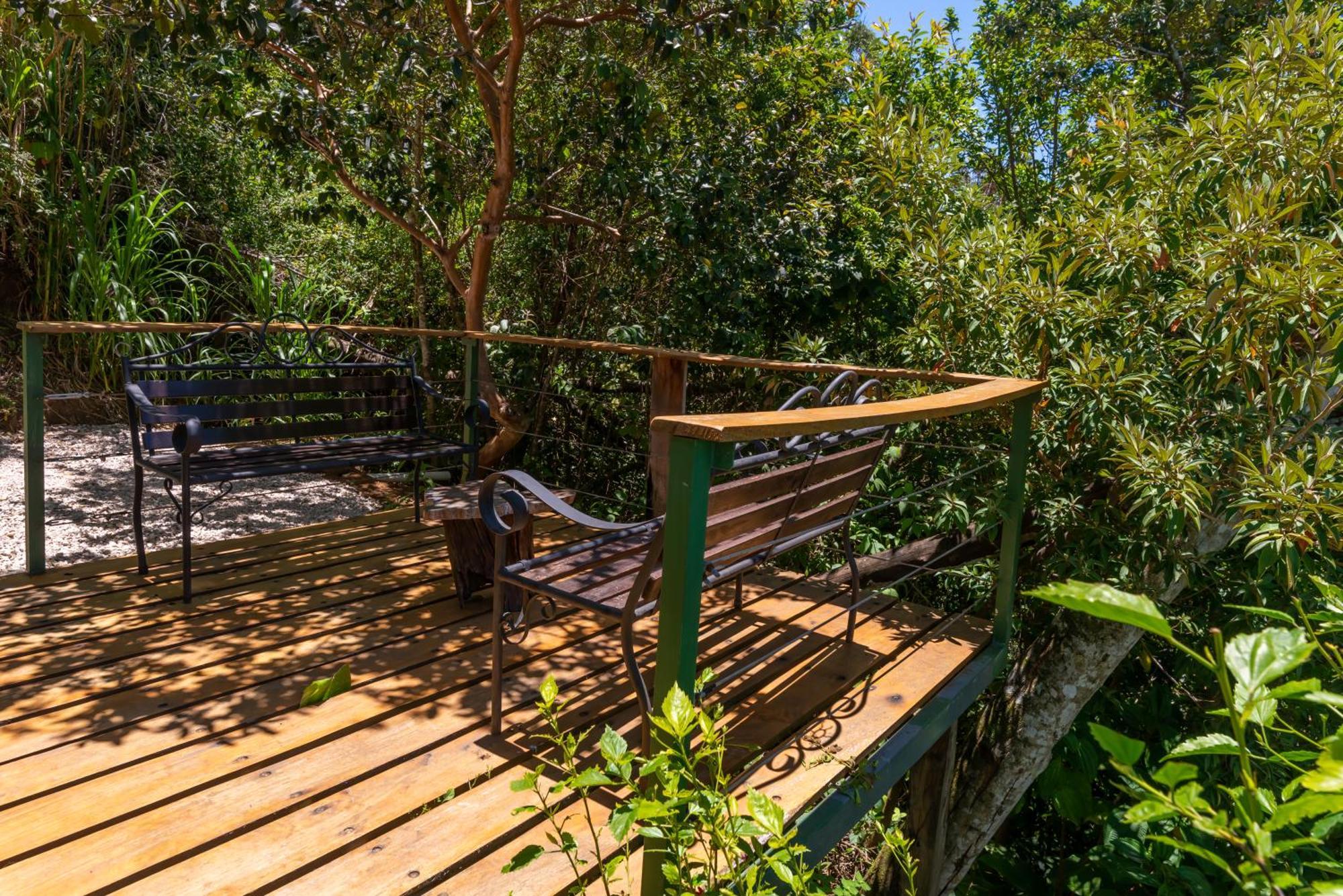 Cabinas Capulin & Farm Monteverde Exterior photo